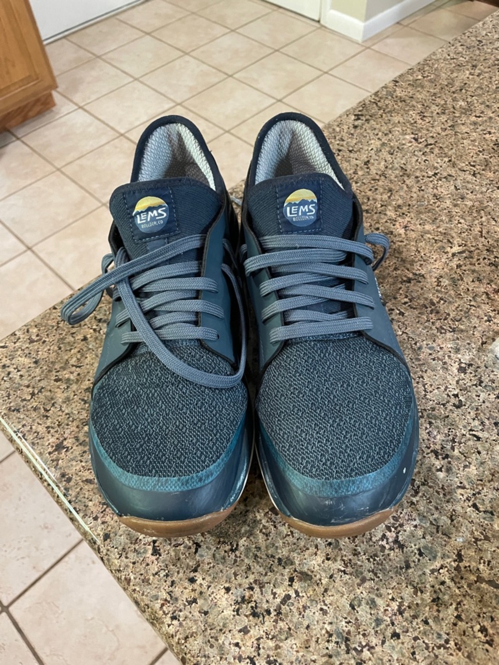 Men’s Lem’s Mesa Navy Blue Shoes Hiking Shoes 11.5 Good condition